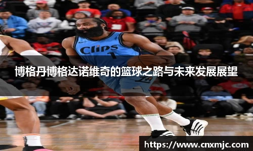 多多28