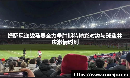 多多28首页